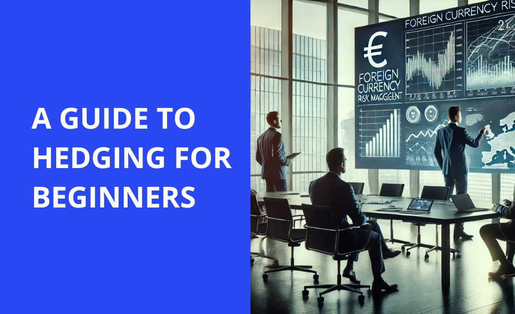 Currency Risk for Beginners: A Quick Guide to FX Hedging